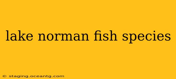 lake norman fish species