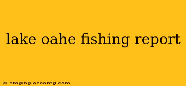 lake oahe fishing report