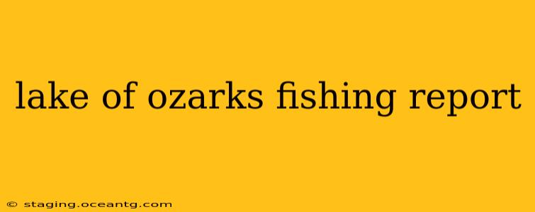 lake of ozarks fishing report