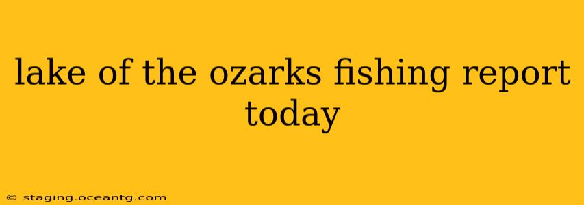 lake of the ozarks fishing report today