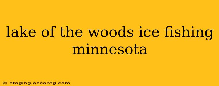 lake of the woods ice fishing minnesota