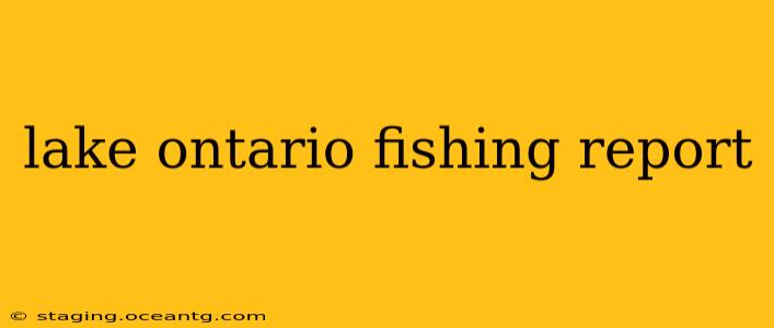 lake ontario fishing report