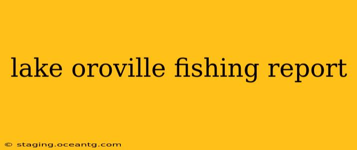 lake oroville fishing report