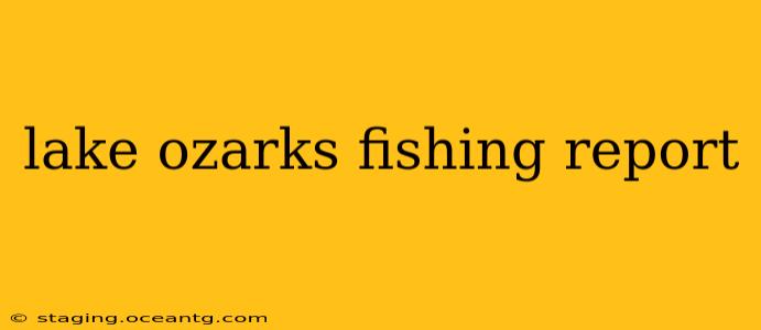 lake ozarks fishing report