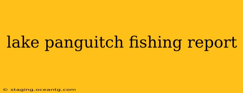 lake panguitch fishing report