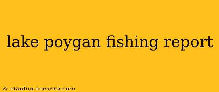 lake poygan fishing report