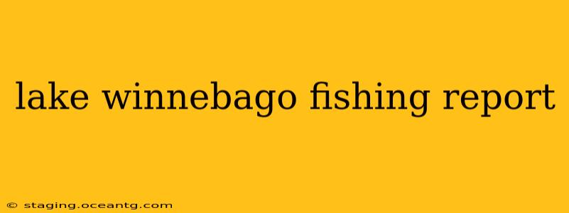 lake winnebago fishing report
