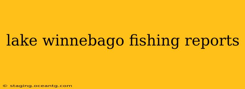 lake winnebago fishing reports