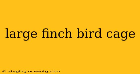 large finch bird cage