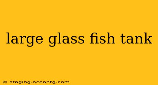 large glass fish tank