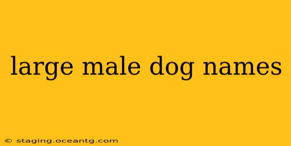 large male dog names
