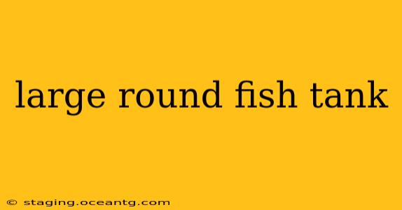 large round fish tank