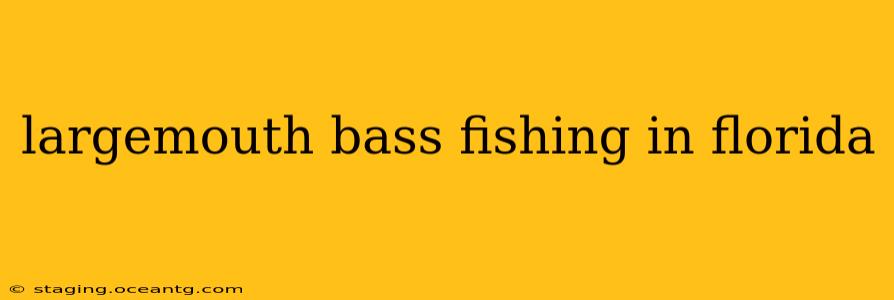 largemouth bass fishing in florida