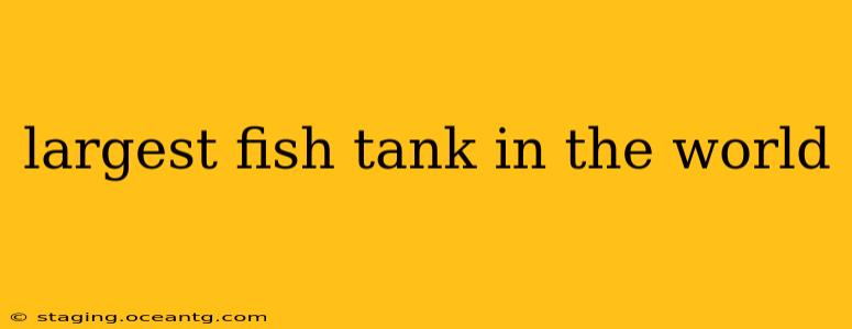 largest fish tank in the world