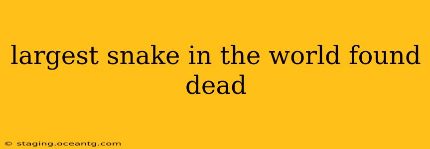 largest snake in the world found dead