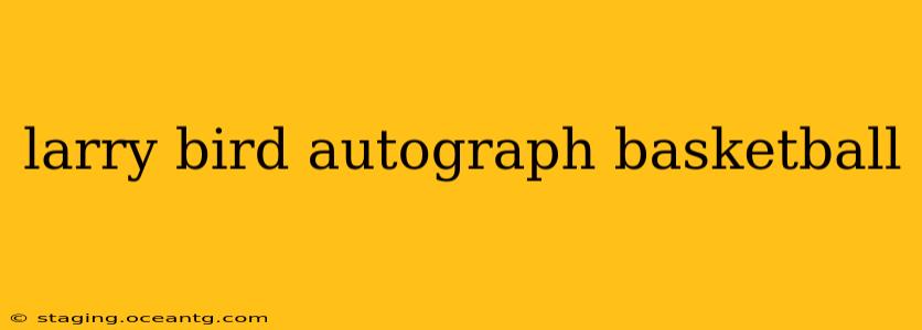 larry bird autograph basketball