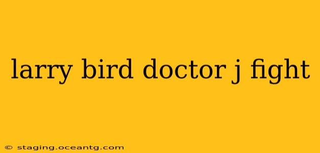 larry bird doctor j fight