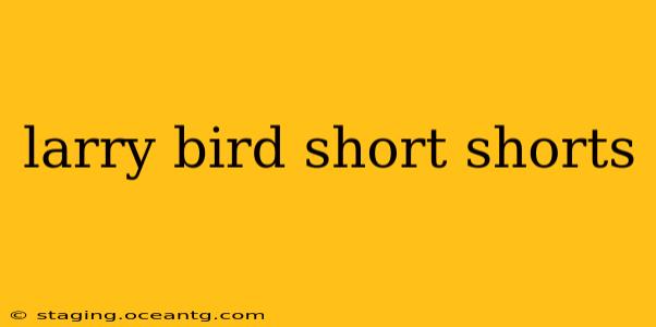 larry bird short shorts
