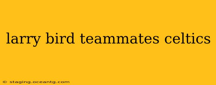 larry bird teammates celtics