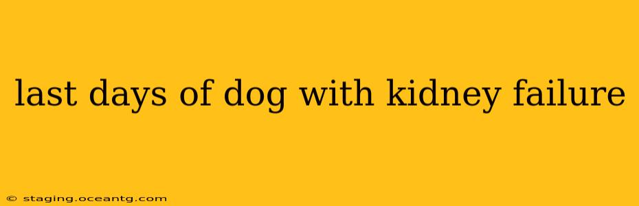 last days of dog with kidney failure
