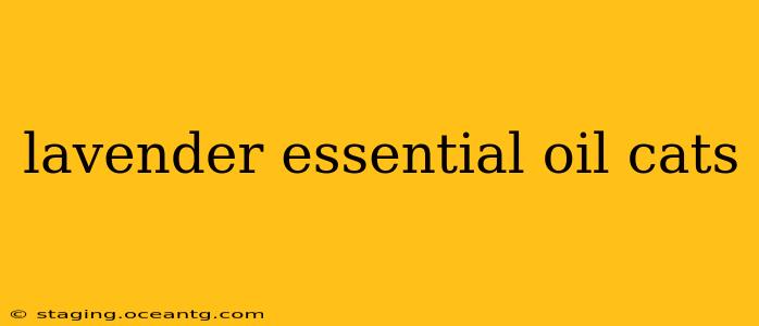 lavender essential oil cats