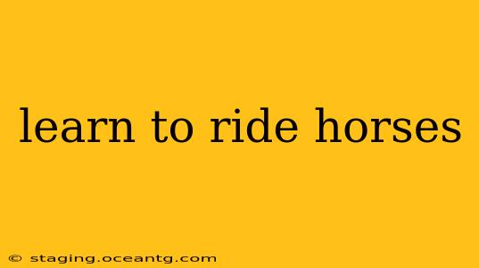learn to ride horses
