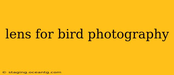 lens for bird photography