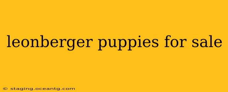leonberger puppies for sale