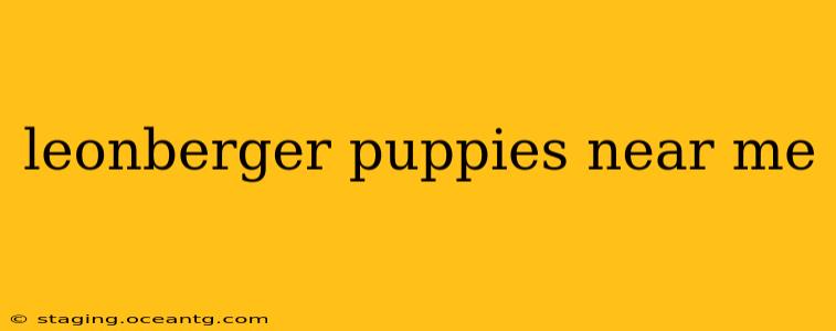 leonberger puppies near me