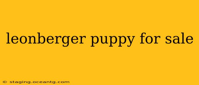 leonberger puppy for sale