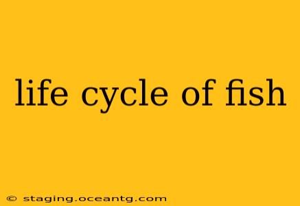 life cycle of fish