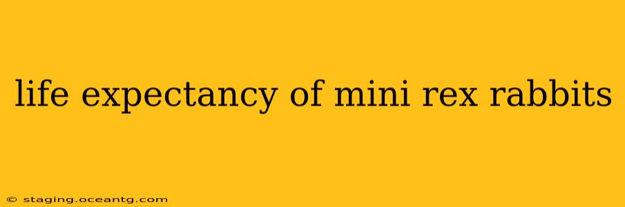 life expectancy of mini rex rabbits