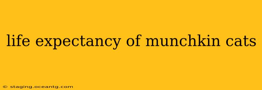life expectancy of munchkin cats