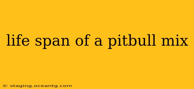 life span of a pitbull mix