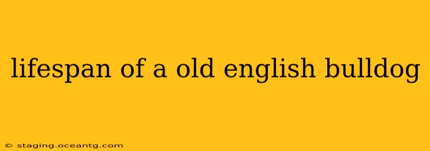 lifespan of a old english bulldog