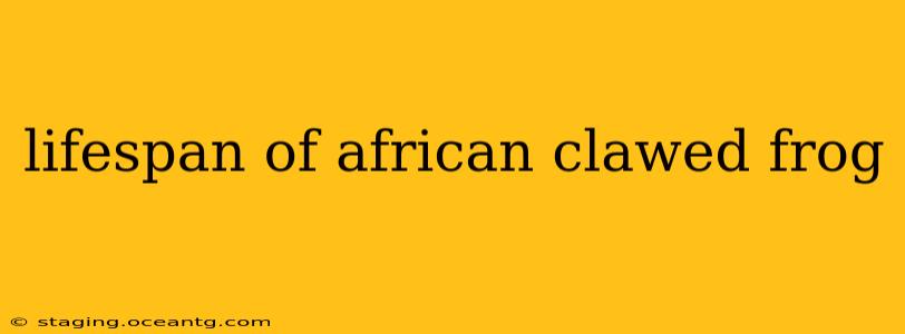 lifespan of african clawed frog