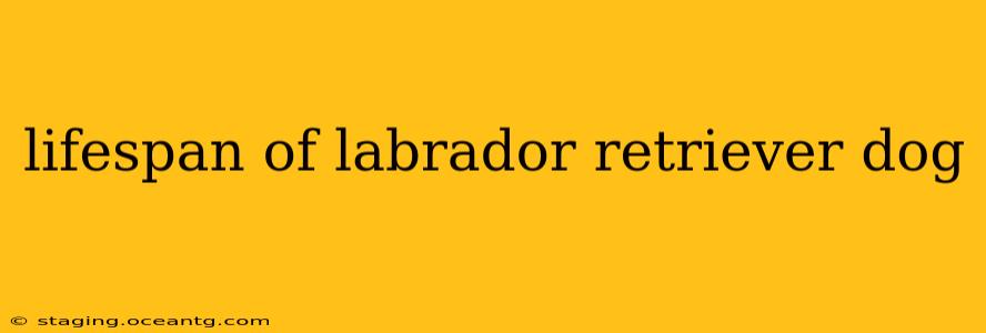 lifespan of labrador retriever dog