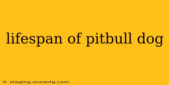 lifespan of pitbull dog