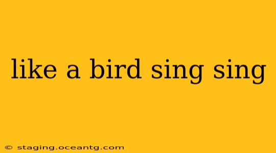 like a bird sing sing
