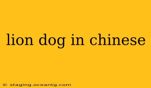 lion dog in chinese