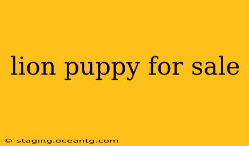 lion puppy for sale