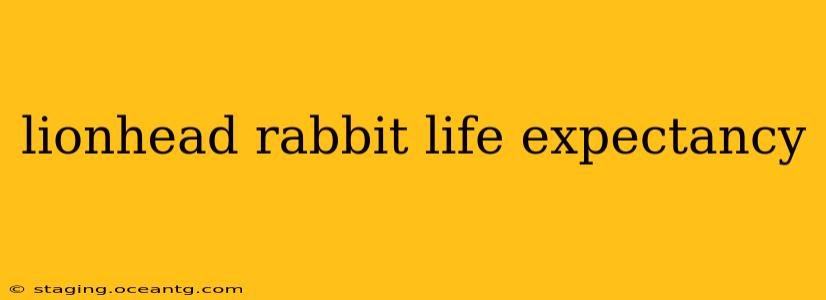 lionhead rabbit life expectancy