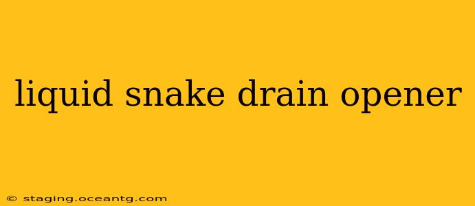liquid snake drain opener
