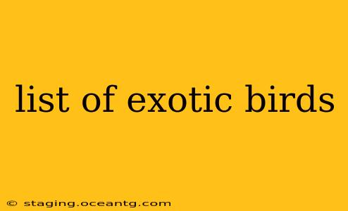 list of exotic birds