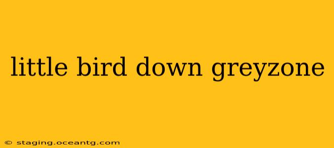 little bird down greyzone