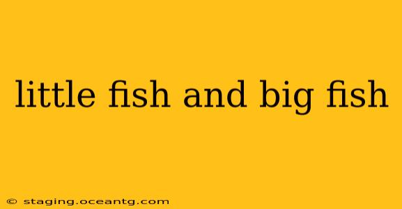 little fish and big fish