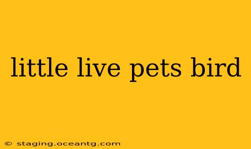little live pets bird