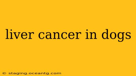 liver cancer in dogs