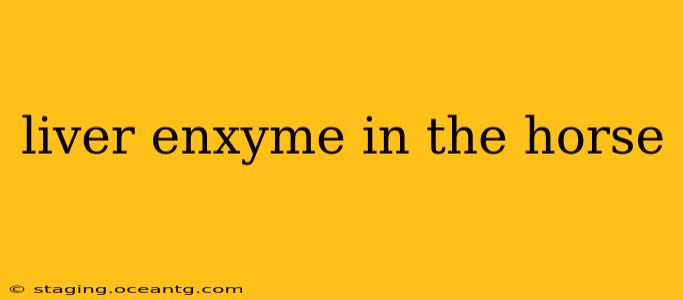 liver enxyme in the horse