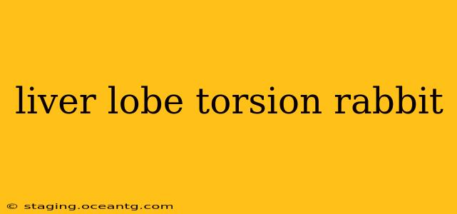 liver lobe torsion rabbit